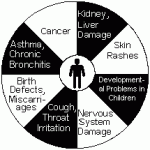 Why support methylation and detoxification? Our ancestors didn’t need to.